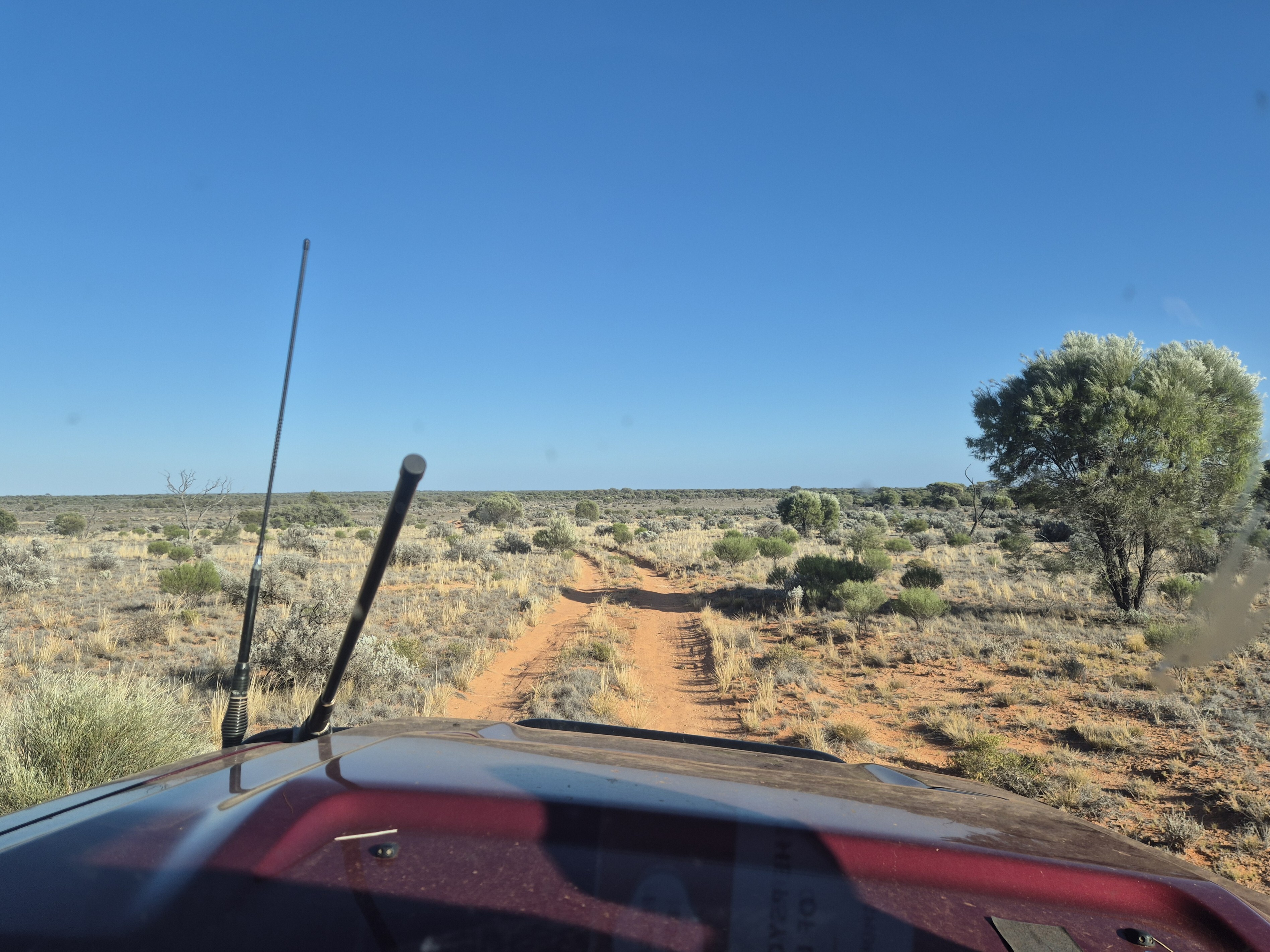 The narrow bush tracks that we spent most of our time on.