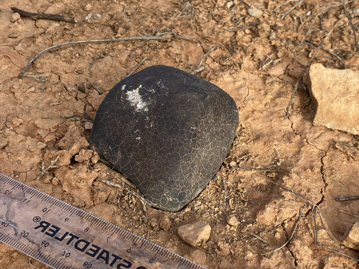 The 8 month old meteorite found North-West of Forrest - credit: Raiza Quintero
